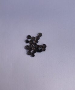 3mm Natural Smoky Quartz Round Cut Gemstone