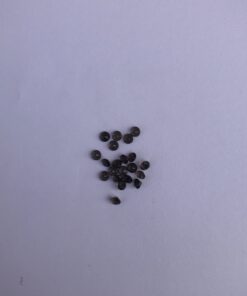 2mm Natural Smoky Quartz Round Cut Gemstone