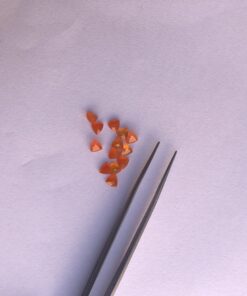 4mm carnelian trillion cut