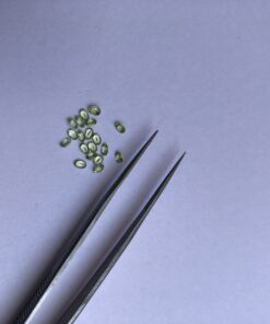 2x3mm Natural Peridot Oval Cut Gemstone