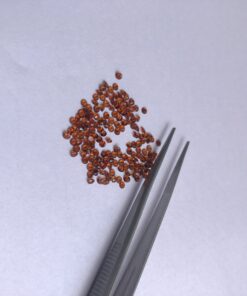1.5mm Natural Brandy Citrine Round Cut Gemstone