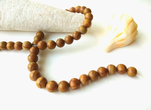 Shop 8mm Natural Camel Jasper Smooth Round Beads