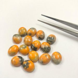 bumble bee jasper cabochon